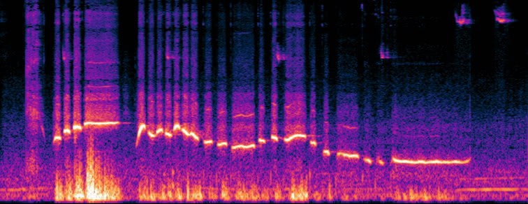 Spectrogram of someone whistling